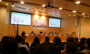 Ple de la RIU